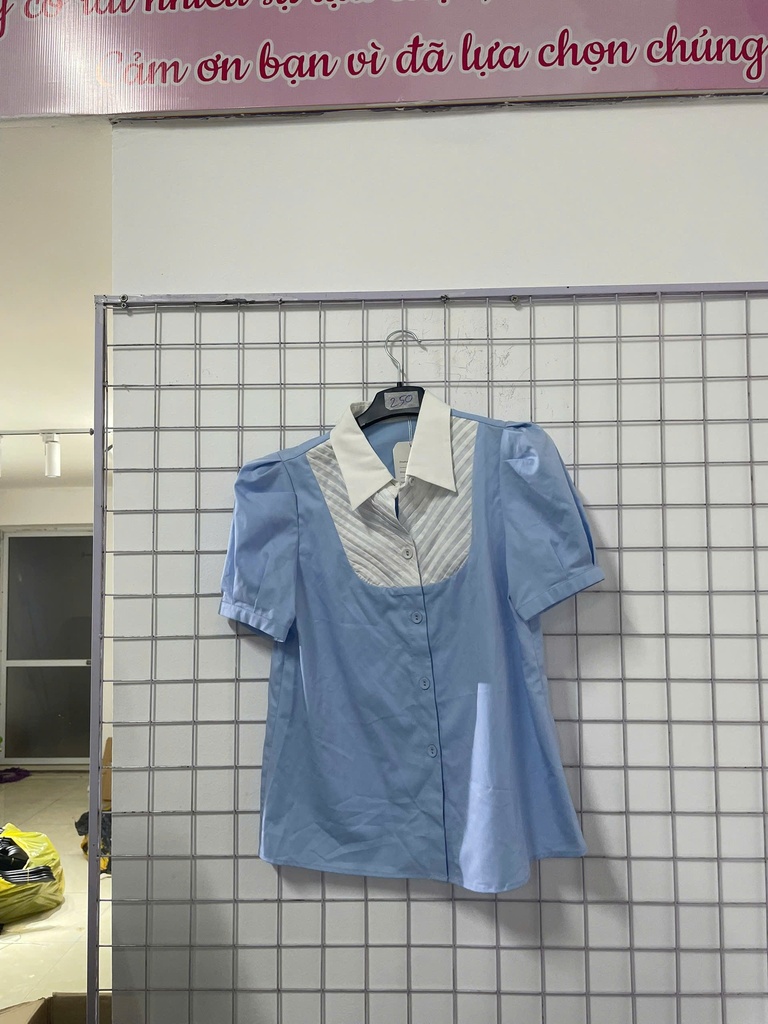 áo sơ mi xanh cổ trắng