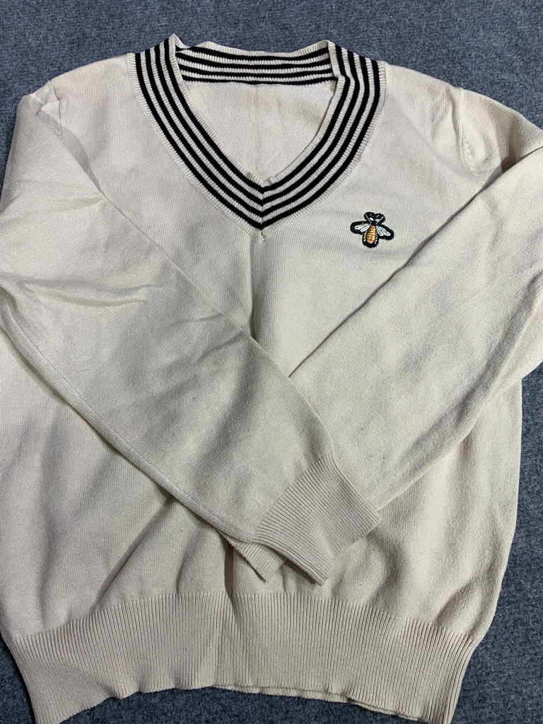 ÁO LEN TRẮNG ĐỤC ONG HHIEN