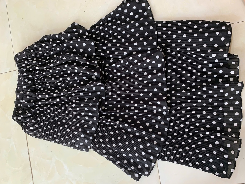 CV ĐEN CHẤM BI NTLINH