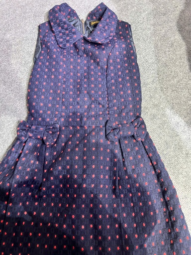 VÁY DẠ XANH THAN CHẤM BI TRANG