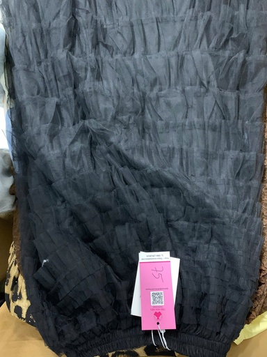 CV ĐEN REN TẦN THUY